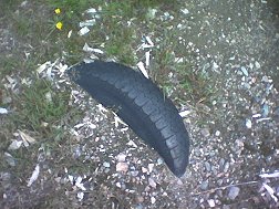 Rengas pilkottaa muistona kaatopaikka-ajoista