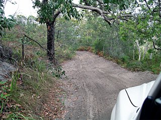 Inland road of Fraser Island.