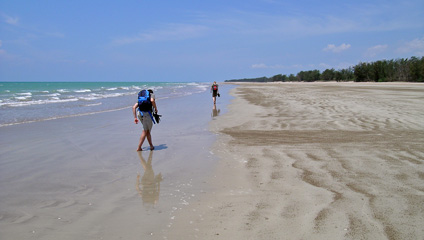 Darwin beach by the Timor Sea. (Picture: kuvaweopu)