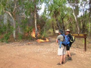 Controlled burning of the undergrowth in Kakadu National Park (Picture: Gandi)