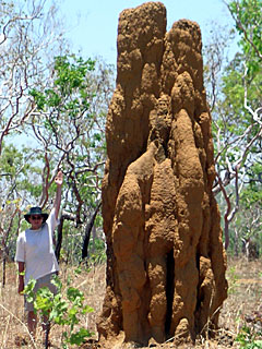 Asmu next to a decent sized termite nest in Kakadu National Park. (Picture: Gandi)